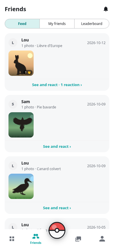 Friends feed