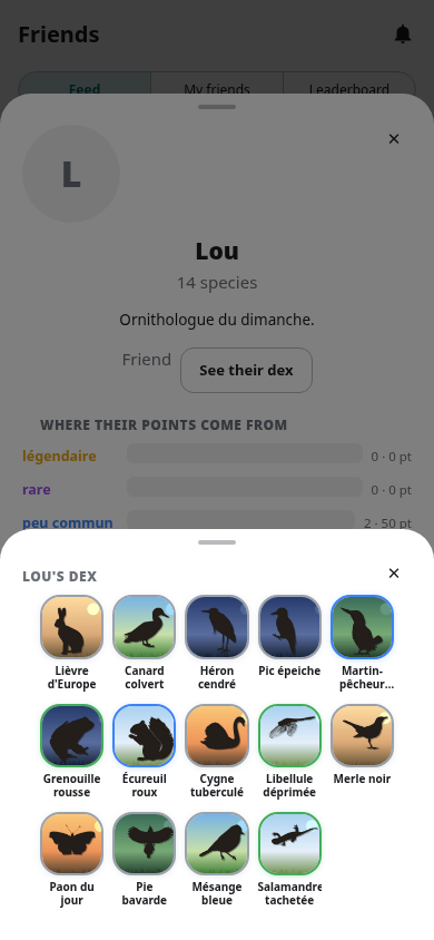 A friend's dex