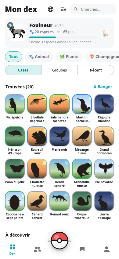 The dex, in French
