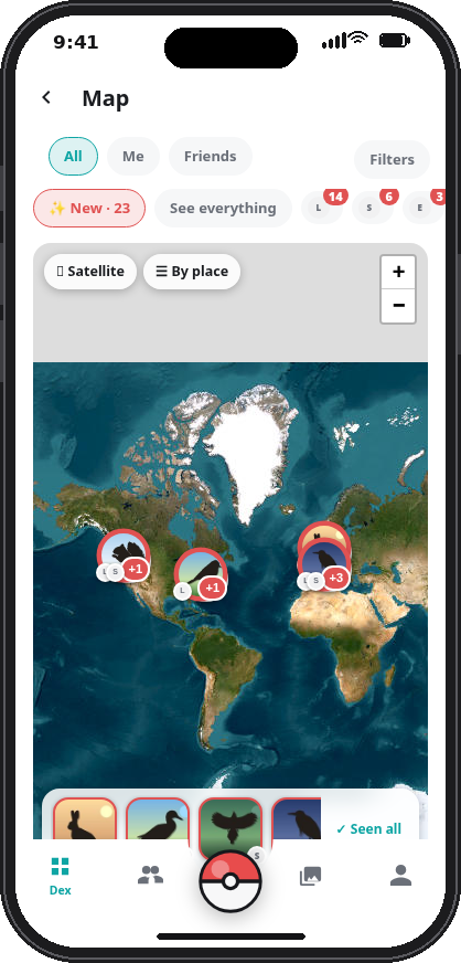 Biodex on a phone: the map