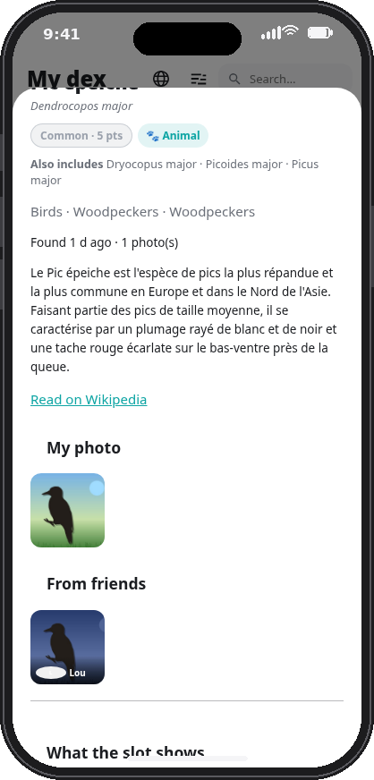 Biodex on a phone: a species sheet