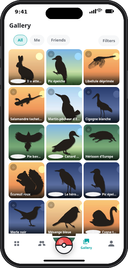 Gallery