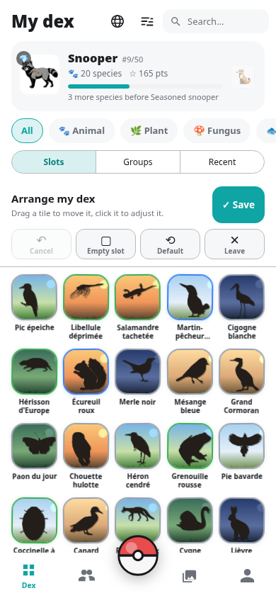 Arranging the dex